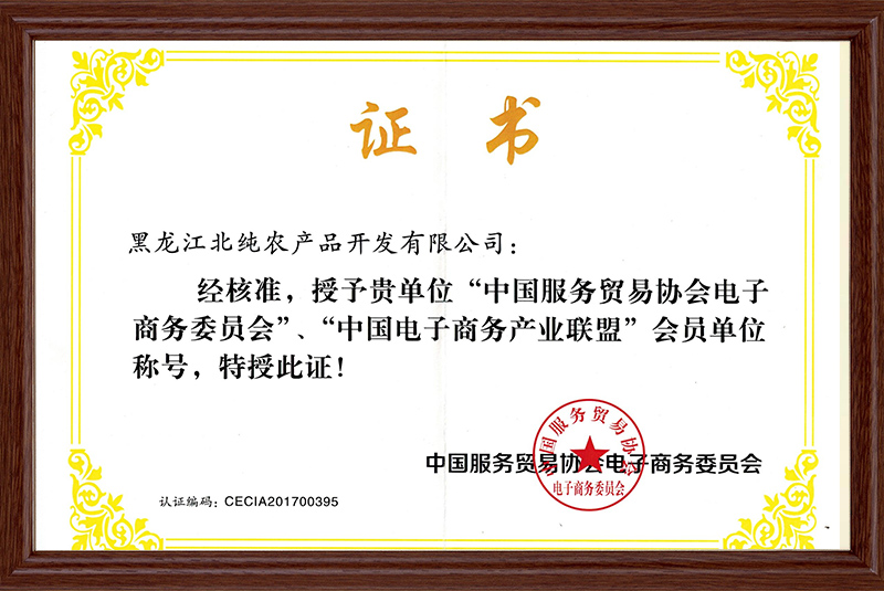 电子商务产业联盟